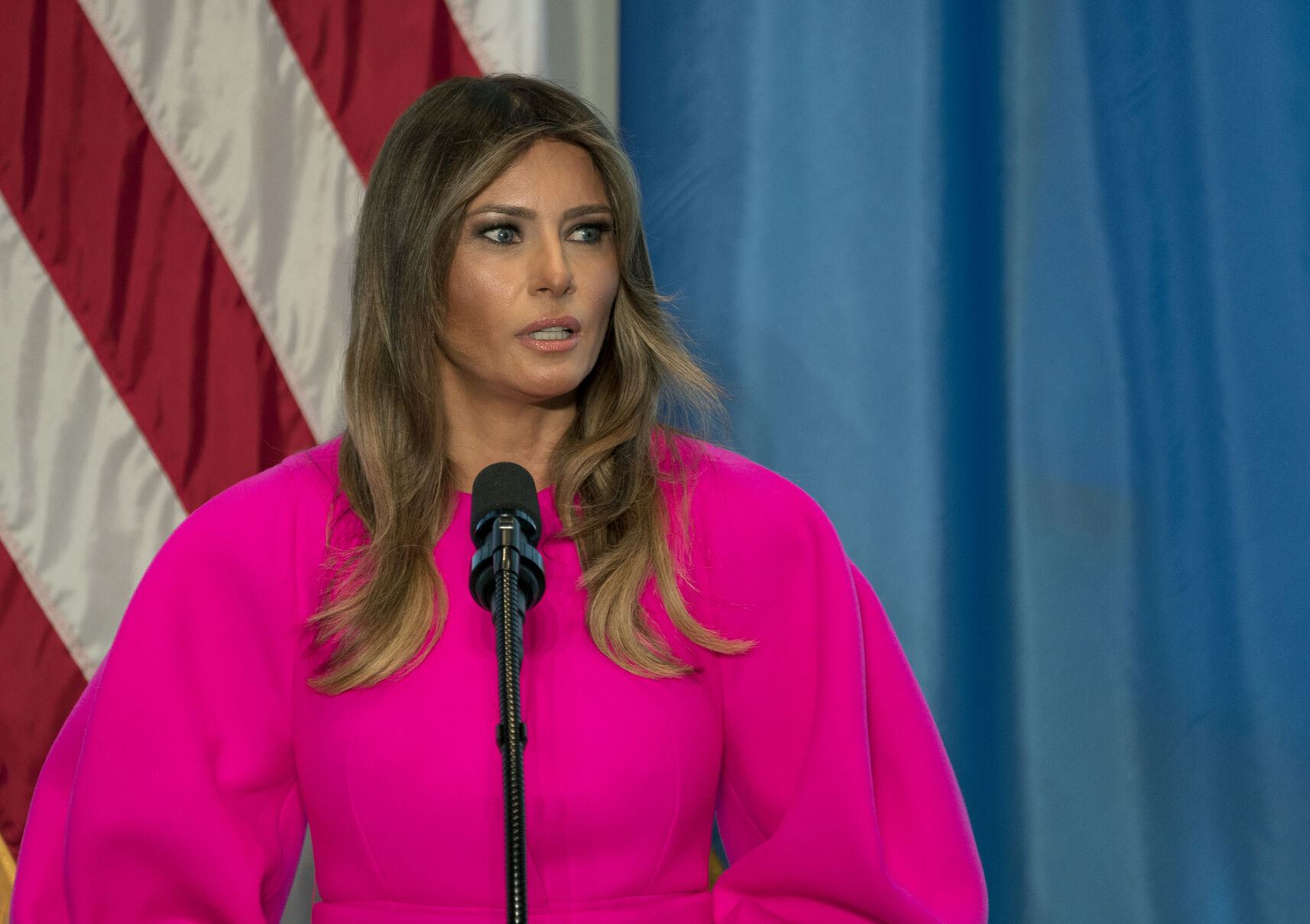 Trump One Year Melania Fashion